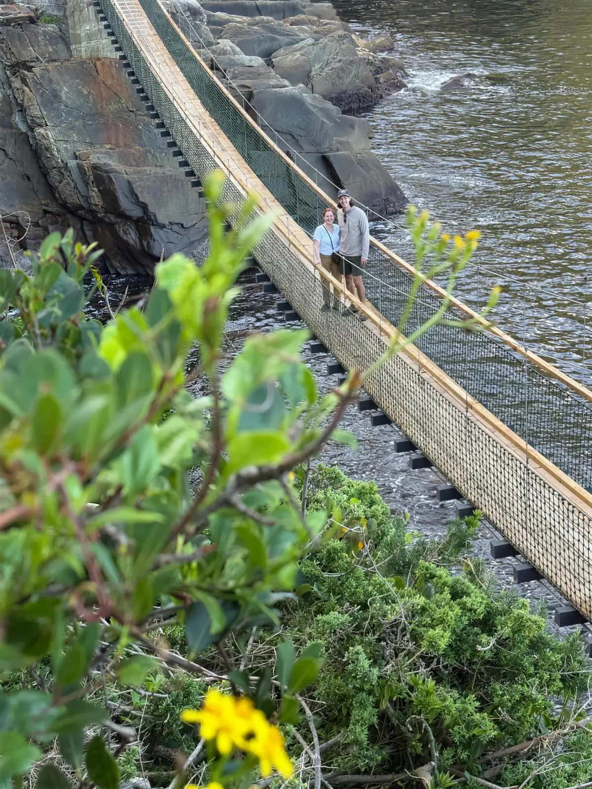 Two guests on the suspension bridge at the Storms River Mouth on the Garden Route